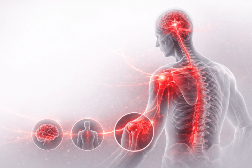 Enfoque neuro-muscular
