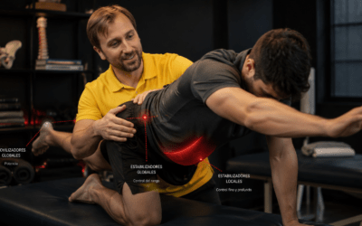 Clasificación muscular funcional: por qué un músculo fuerte no siempre es un músculo eficiente