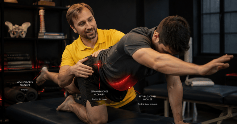 Clasificación muscular funcional: por qué un músculo fuerte no siempre es un músculo eficiente